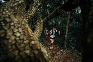 BIB: 
                            <button type="button" onclick="openModal(25698556)" class="btn btn-primary btn-sm float-right btn-popup" data-toggle="modal" data-target=".modal-high-quality">
                        <i class="fas fa-shopping-cart"></i> Add to Cart
                    </button>
                                            <button type="button" onclick="isThisMe(25698556, true)" class="btn btn-success btn-sm float-right btn-popup btn-isme hidden" data-toggle="tooltip" data-placement="bottom" title="นี่คือรูปของคุณใช่ไหม คลิกที่นี่เพื่อเอาเข้าอัลบั้ม">
                        <i class="fas fa-plus"></i> Add to album
                    </button>
                    <button type="button" onclick="isThisMe(25698556, false)" class="btn btn-warning btn-sm float-right btn-popup btn-isnotme hidden">
                        <i class="fas fa-ban"></i> Remove from album
                    </button>